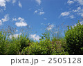 素材ナンバー 2505128 : 「無題」