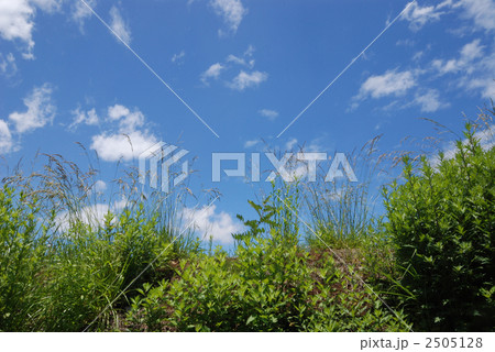 青空 空 自然