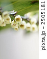 榊の花