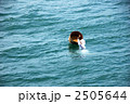 海女漁