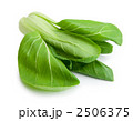 チンゲン菜