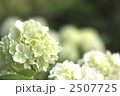 2507725