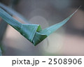 縁結び祈願