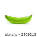 四角豆