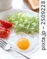 2509228