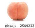 桃