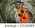 2510089
