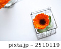 2510119