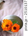 2510137
