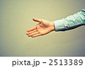 2513389
