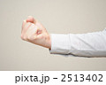 2513402