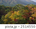 秋の鳴子峡にて