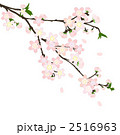 桜 枝01 