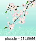 桜 枝03 水面（みなも）
