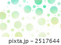 2517644