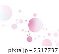 2517737
