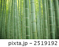 竹林