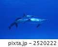 2520222