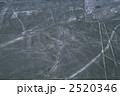 2520346