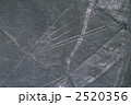 2520356