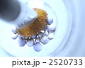 2520733