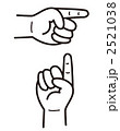 2521038