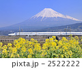新幹線と富士山-5366