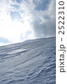 2522310