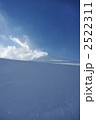2522311