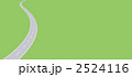 2524116