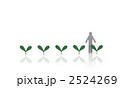 2524269