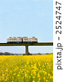 菜の花畑を走る電車