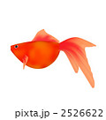 2526622