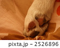 2526896