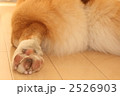 2526903