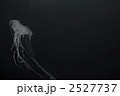 2527737