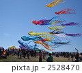 カイトフェスティバルにて蛸の凧
