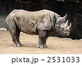クロサイ