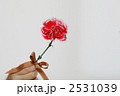 カーネーションの花と手
