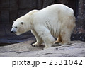 ホッキョクグマ