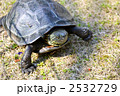 2532729