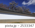 水戸　弘道館　白塀（正門の附塀）は国指定重要文化財　観梅時