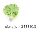 電球と葉