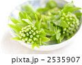 ふきのとう