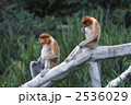 2536029
