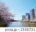 桜満開の福岡城