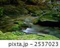 2537023
