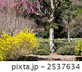 春の到来(2)