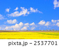 2537701