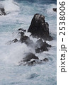 2538006